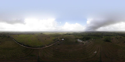 Venta Rancho 132 Hectareas Balcazar Tamiahua Veracruz