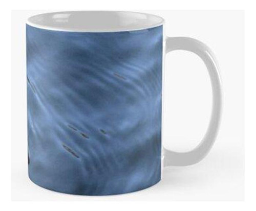 Taza Pato A La Izquierda Con Agua Azul Del Estanque Calidad 