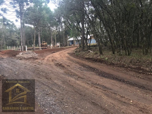 Imagem 3 de 13 de Chácara Com 5.000 M² No Timbu Velho Em Campina Grande Do Sul - Ch00026 - 33581150