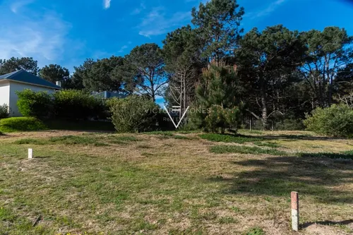 Venta Terreno Pinar Del Faro, 1000 Mts (pfg11)