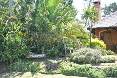 Imagen 23 de 29 de Punta Del Este, Jardines De Cordoba, 4 Dormitorios Y Dependencia*- Ref: 42991