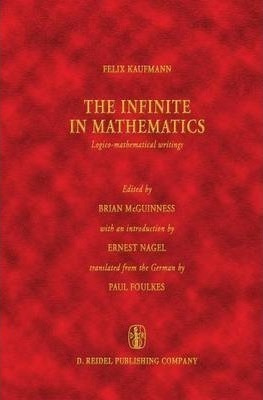 The Infinite In Mathematics - Brian Mcguinness