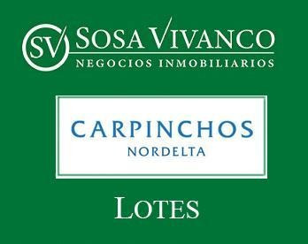 Imagen 4 de 8 de Terreno - Carpinchos