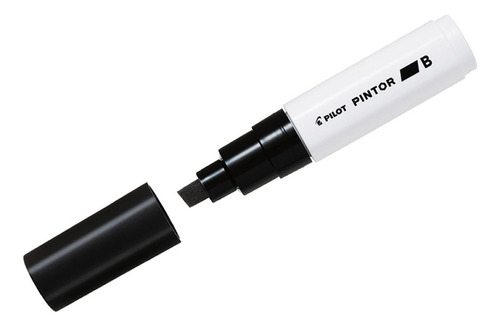 Rotulador Pilot Pintor B, colores negro