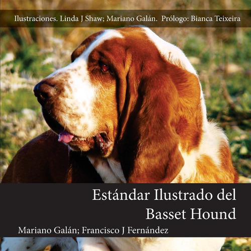 Libro: Estándar Ilustrado Del Basset Hound (spanish Edition)