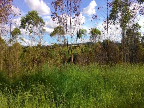 Imagem 27 de 30 de Sitio - St00006 - 4310429