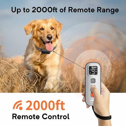 Collar De Adiestramiento Para Perros Con Control Remoto Eléc