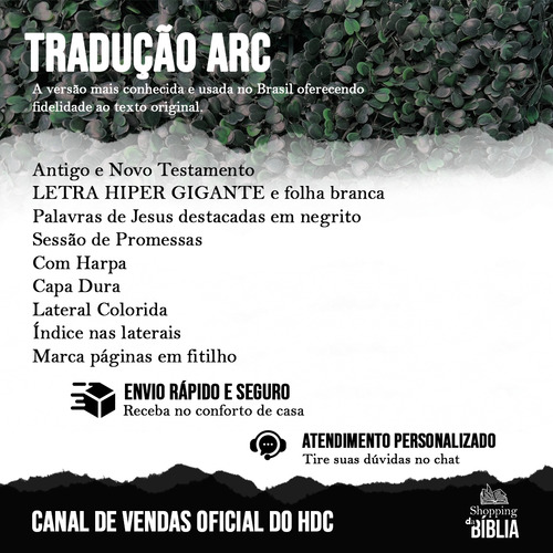 Bíblia Sagrada Feminina Rosa Seja Luz Letra Hiper Gigante Evangélica Leão Com Harpa E Índice Arc Palavras De Jesus Em Negrito Jovem Flores Fé Capa Dura