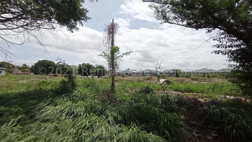 Imagen 11 de 12 de Terreno En Venta Corinsa Cagua 21-25380 Dperez