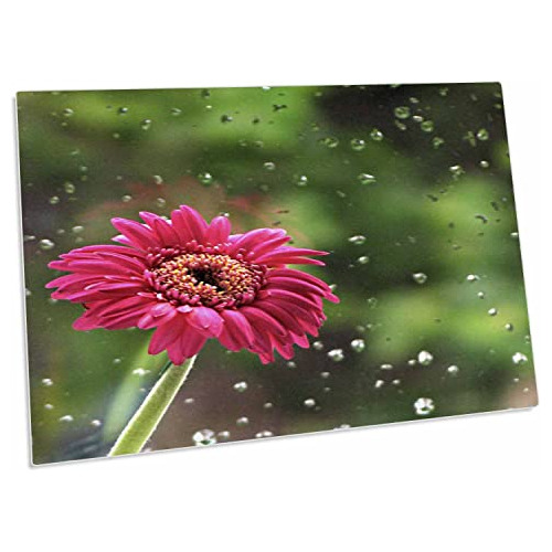 3drose Flor Rosa Fuerte Contra Panel De Ventana Lluvioso - P