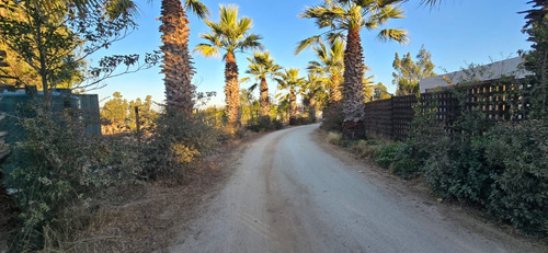 Callejón Las Gaviotas, A 7k De Rotonda Concón