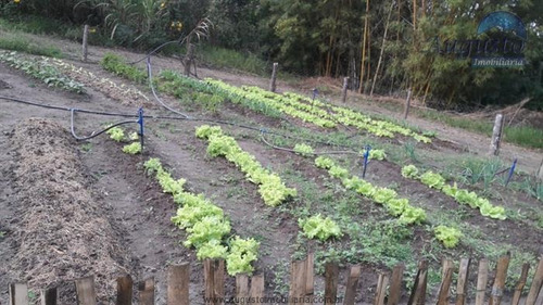 Imagem 13 de 16 de Chácaras À Venda Em Bragança Paulista/sp - Compre O Seu Chácaras Aqui! - 1494497