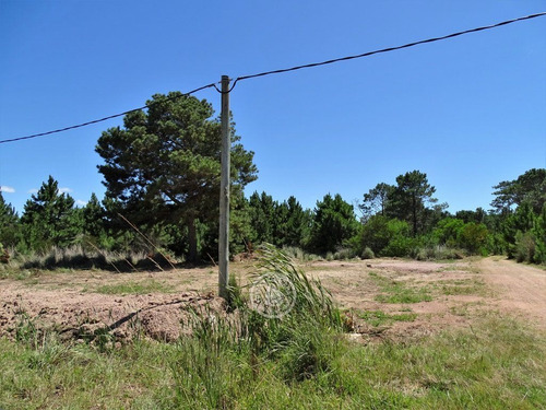 Imagen 4 de 6 de Terrenos En Zona Bosque, Varias Opciones En Punta Del Diablo