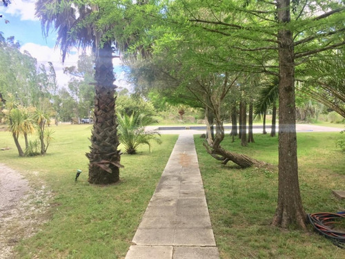 Hermosa Chacra En Camino De Los Ceibos, 1,5 Hectareas, Ideal Para Eventos- Ref: 4107