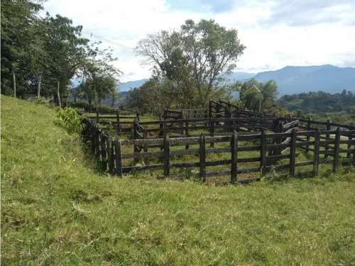 Vendo Finca Ganadera Cerca A La Cabecera De Armenia Mantequilla Ant.