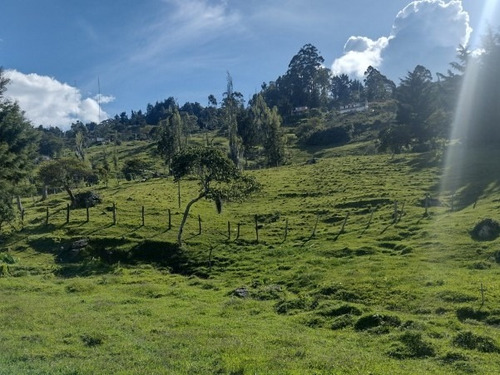 Lote En Venta, San Félix, Bello
