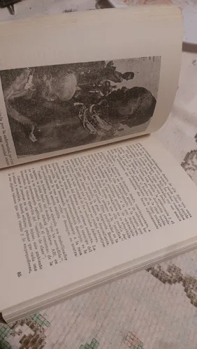 Jorge Ledesma. Cartas Espantosas A Mi Maestro. Corregidor (Usado)