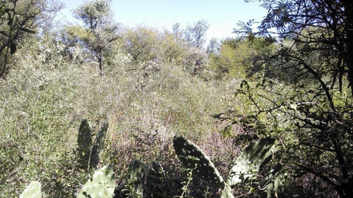 Imagen 11 de 19 de Terreno En Venta En San Marcos Sierras