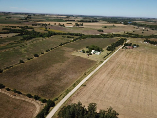 Imagen 14 de 16 de Chacra - Nueva Helvecia