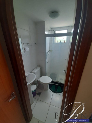 Imagem 23 de 29 de Vendo Apartamento 2 Quartos Com Suite Em Campo Grande - Ap02412 - 34826183