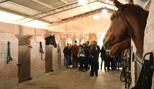 Imagen 5 de 8 de Lote En San Sebastian