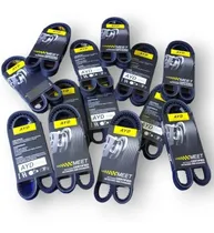 Comprar Correa Dentada Automotriz E Industrial 17330