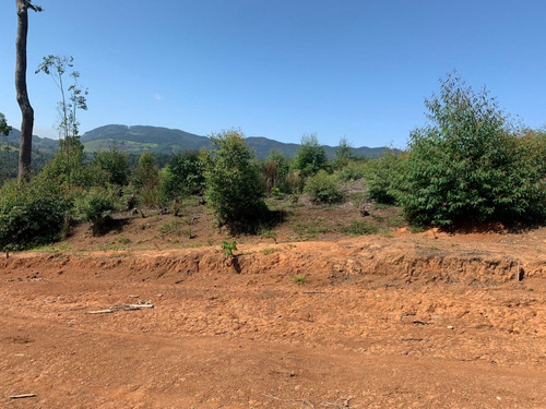 Imagem 20 de 21 de Ml- Terreno Para Sua Felicidade