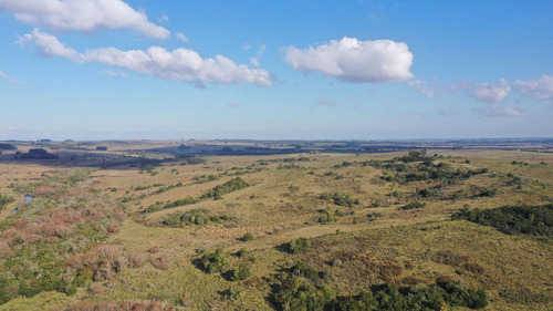 Campo En Garzon A 6km Del Pueblo.