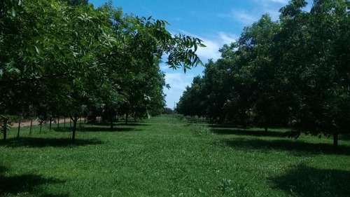 Imagen 3 de 4 de Lotes Ibarlucea