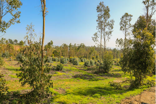 Sitio En Condominio Campo Viejo