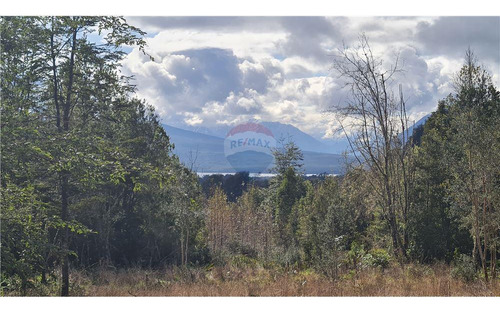 Parcela Con Bosque Nativo En Puerto Varas