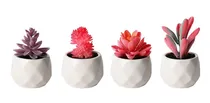 Comprar Plantas Suculentas Artificiales  Mini Suculentas Falsas...
