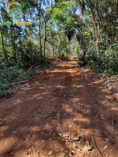 Imagem 5 de 9 de Fazenda À Venda Em Araguaína - To - 687,28 Hectares (dupla Aptidão) - 2109