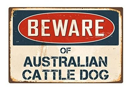 Cuidado Con El Ganado Australiano Perro 8 X 12 Clasico Alum
