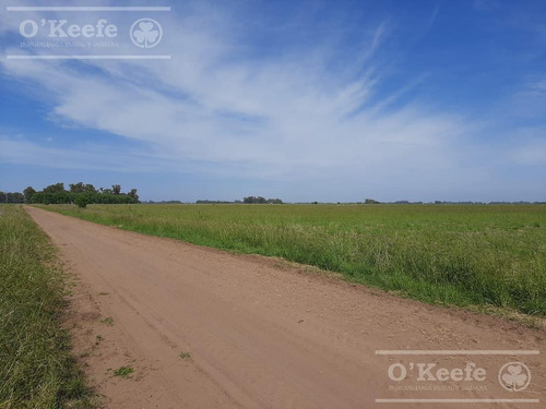 Imagen 10 de 18 de Chacra En Venta De 40 Has - En Saladillo Campo Mixto Con Mejoras