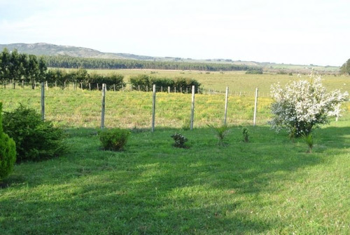 Quinta | Ruta 39 Km 33