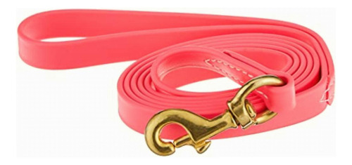 J&j Dog Supplies J&j Pink Biothane Dog Leash, 3/4 Wide By Color Rosa/rebel Fun