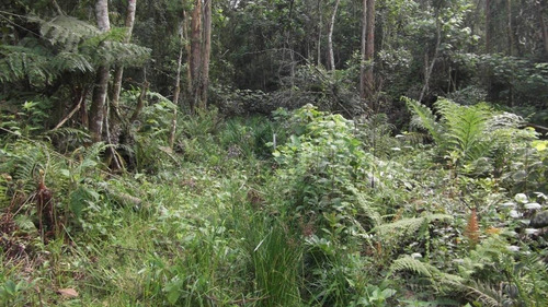 Terreno Em Chácara Recanto Verde, Cotia/sp De 0m² À Venda Por R$ 250.000,00 - Te751436