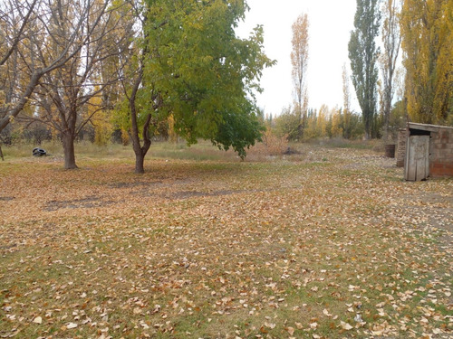 Finca En Venta En C. Benegas, San Rafael - Ideal Para Vivir O Emprender ¿buscás Un Lugar Para Disfrutar De La Tranquilidad Y La Naturaleza?