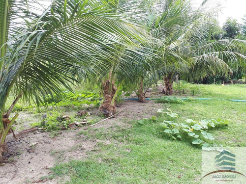 Imagem 7 de 7 de Granja A Venda Na Lagoa Do Bonfim