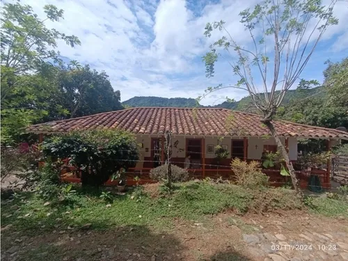Vendo Finca De 30 Cuadras En Damasco Para Ganadería Cerca La Pintada