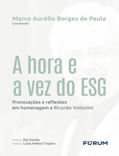 A Hora E A Vez Do Esg: A Hora E A Vez Do Esg, De Borges De Paula, Marco Aurelio. Editora Forum, Capa Mole, Edição 1 Em Português, 2023