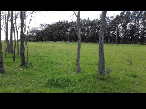 Terreno Oportunidad Dueño Directo San Pedro ,escritura