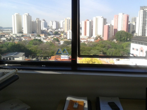 Imagem 3 de 11 de Escritório Em Vila Monte Alegre - São Paulo - 1059
