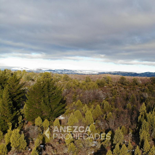 Campo De 8 Hectáreas - Costa Lago Lezama - Cholila