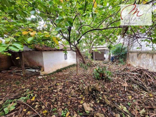 Imagem 9 de 11 de Excelente Terreno Para Construção De Kitnet Pertinho Do Metrô - Te1498