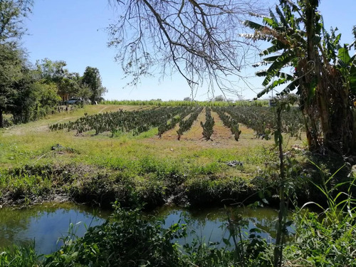 Rancho Agrícola A 30 Minutos De Mazatlán (el Tecomate De Siqueros)