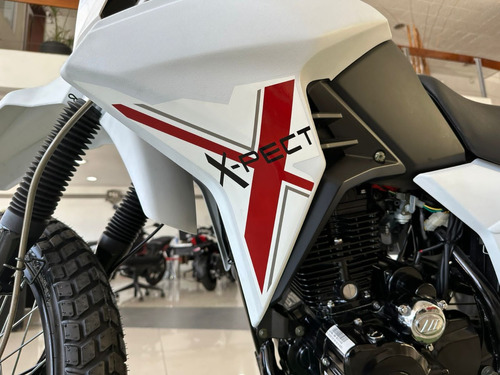 Motomel Skua Solo Dni