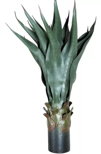 Catálogo AGAVE DECORAÇÕES