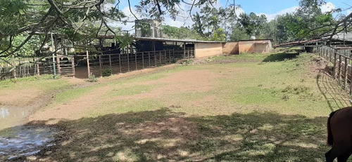 Imagen 6 de 27 de Se Vende Finca El Maitero Via El Sur De Monagas Ve02-1098vs-mtru